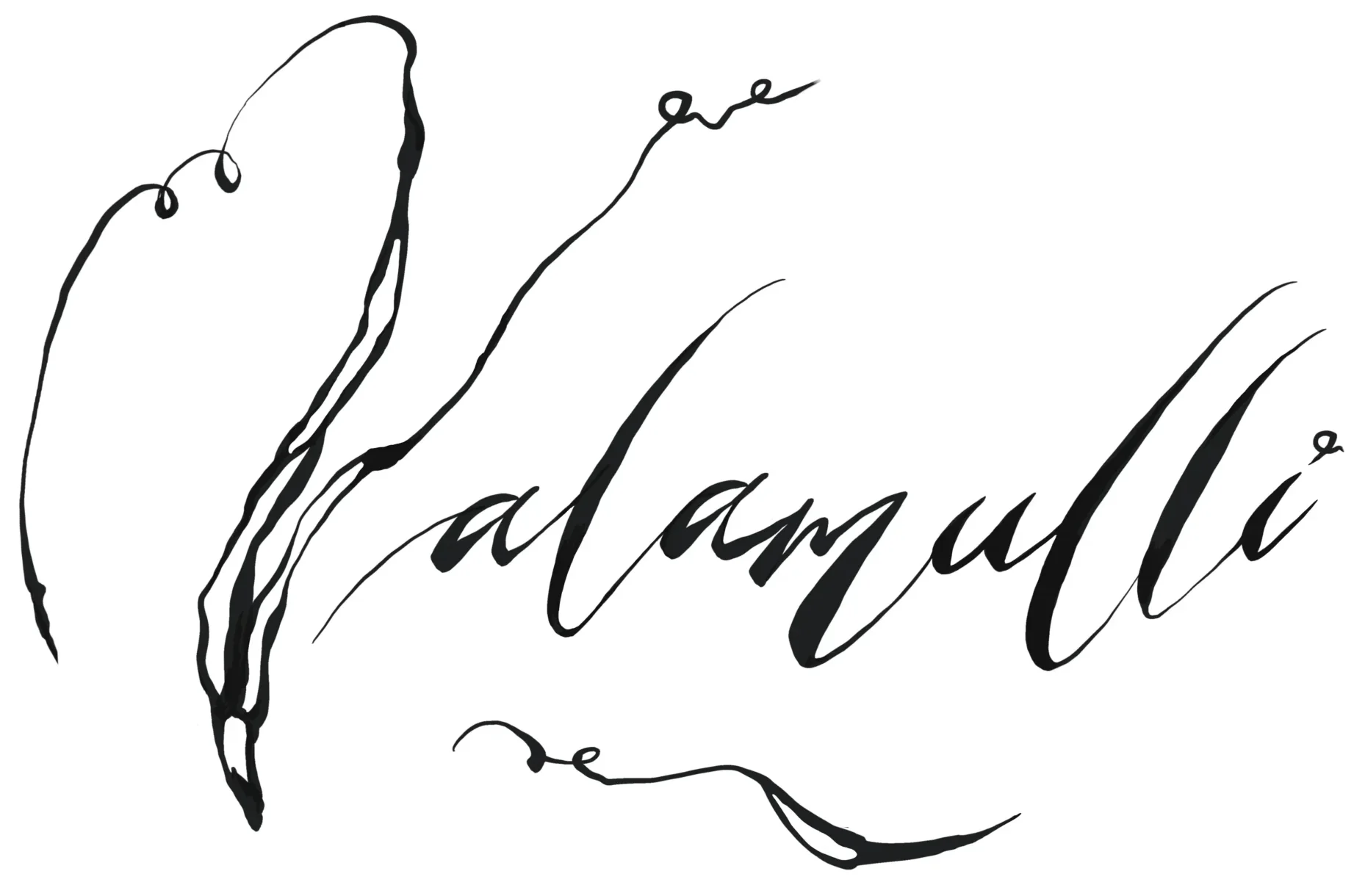 Valamulli-Logotype Veinid, Veinipood ja Sommeljeeteenused Tallinnas