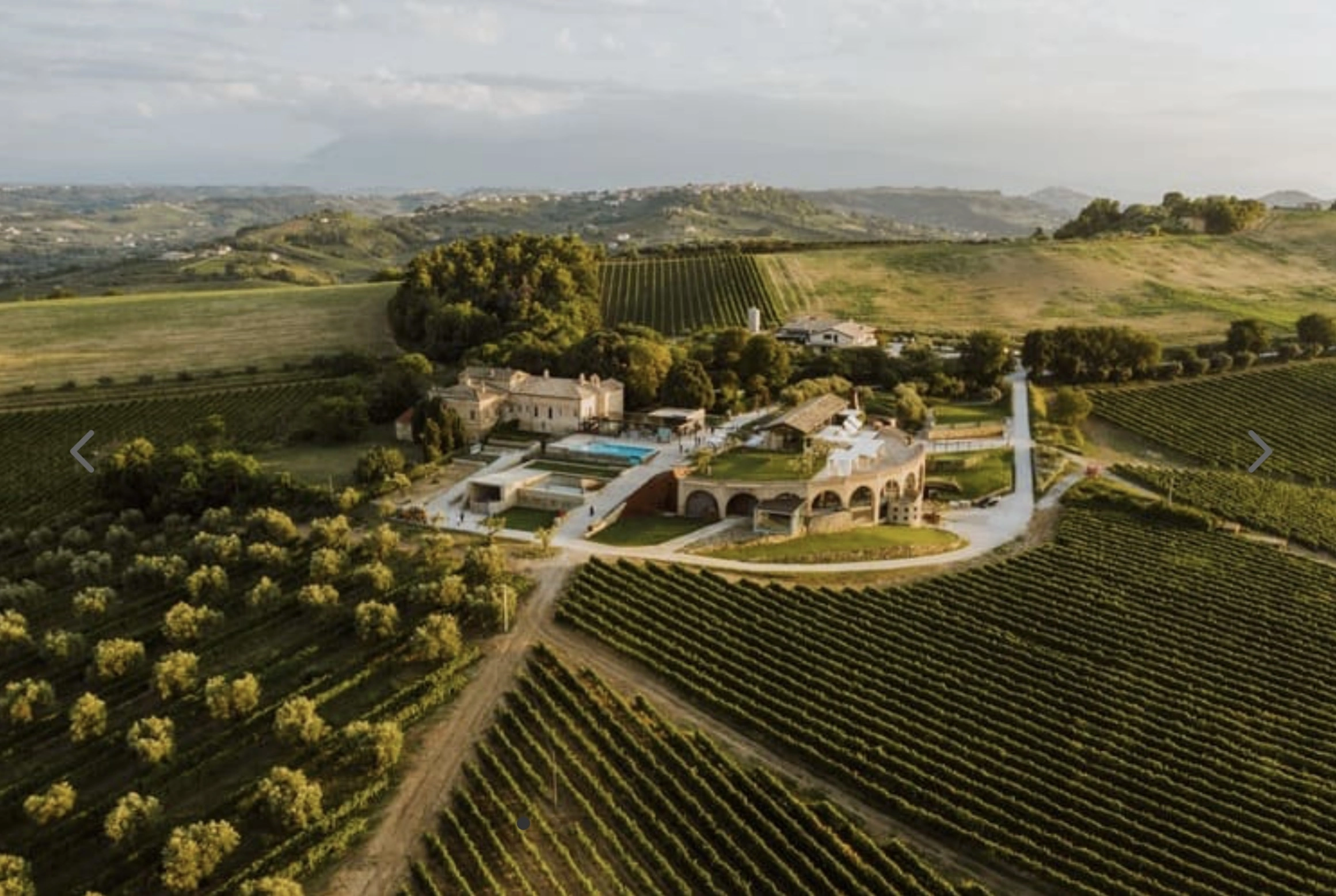 7. novembril 2025 - Veinidegustatsioon Tallinnas — Di Sipio / 7th of November - wine tasting in Tallinn — Di Sipio - Image 4