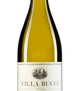 Bucci – Verdicchio Classico dei Castelli di Jesi DOC